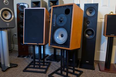 Musical Fidelity LS5/9 Monitors - DEMO