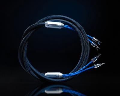 Siltech Classic Legend 880L Speaker Cables