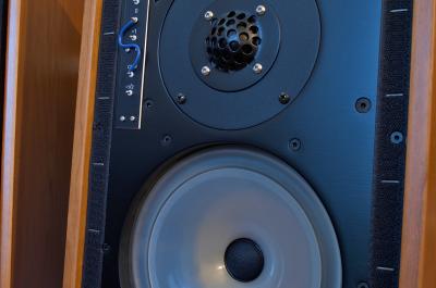 Musical Fidelity LS5/9 Monitors - DEMO