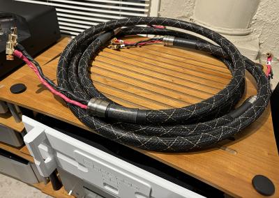 Audio Sensibility Statement 2.5M Speaker Cables - TRADE-IN