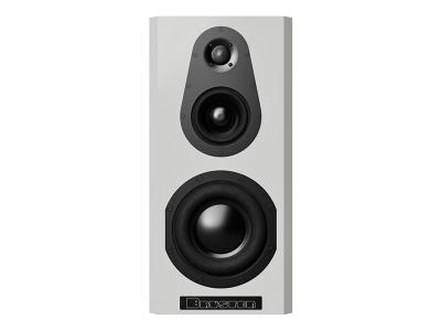 Bryston Mini T10 Monitors