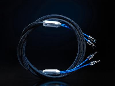 Siltech Classic Legend 880L Speaker Cables