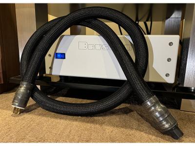 Shunyata Anaconda CX Power Cord