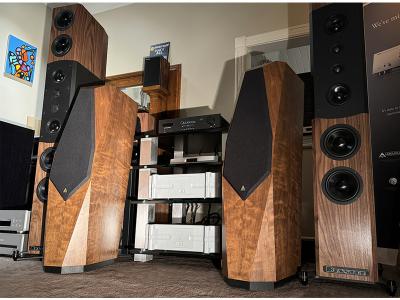 Avalon Acoustics Transcendent - TRADE-IN