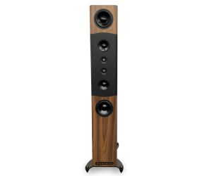 Floor Standing Speakers